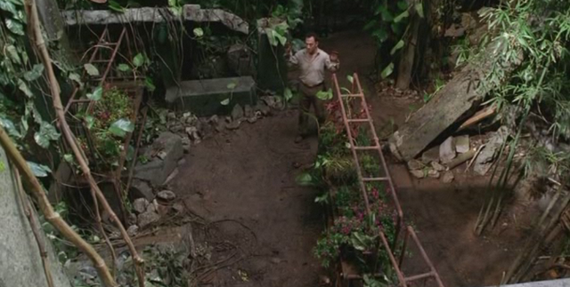 File:Exterior orchid.png