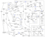 Lost Connections.gif