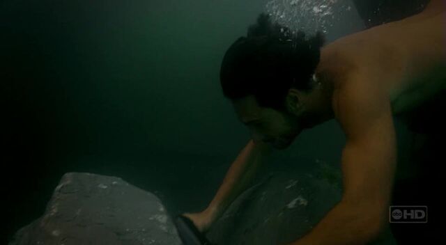 File:Paulodive.jpg