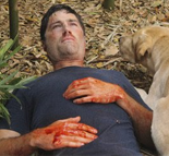 Ficheiro:Banner-02.png