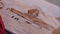 Hurleysphinx.jpg