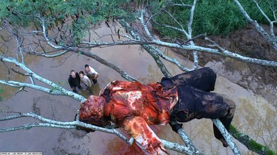 Ficheiro:PilotDead.jpg