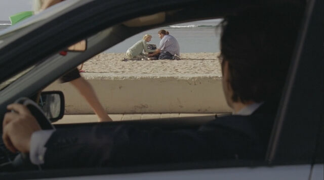 File:6x12-Des Likes to Watch.jpg