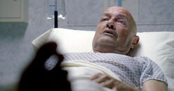 6x17-Locke-bewegt-Zeh.jpg