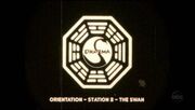Swan orientation.jpg