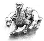 Cerberus.jpg