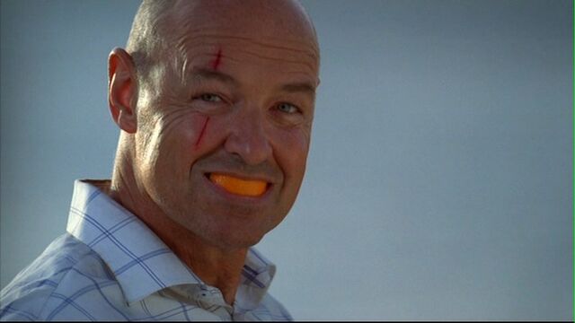 File:Normal normal-1x01-43.jpg