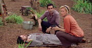 5x15 CheckingOnFaraday