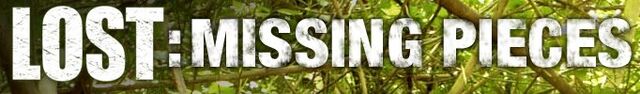 File:Logo Missing Pieces.jpg
