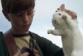 Thumbnail for version as of 21:37, February 24, 2011