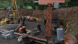 SwanConstruction 5x13.jpg