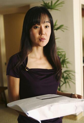 File:Sunsmail504.jpg