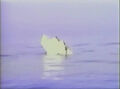 Thumbnail for version as of 09:13, October 28, 2008