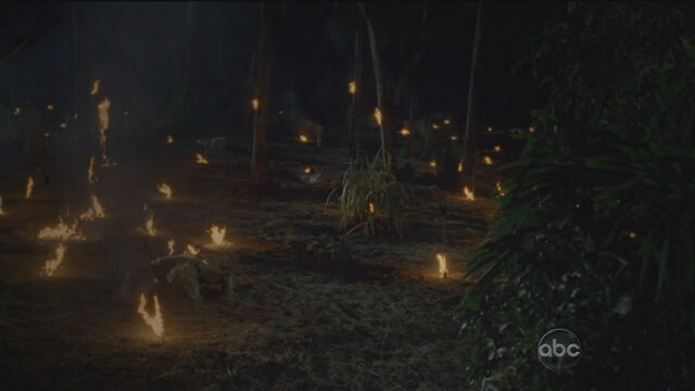 Archivo:BeachFire.jpg