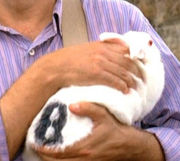 Bunny2.jpg