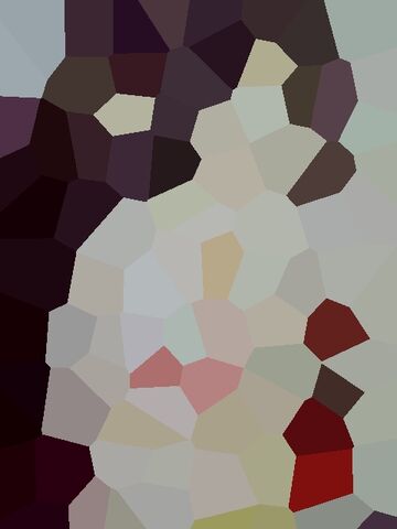 File:Contest Picture -1.jpg