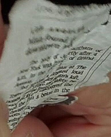 File:Picture6zoom.jpg