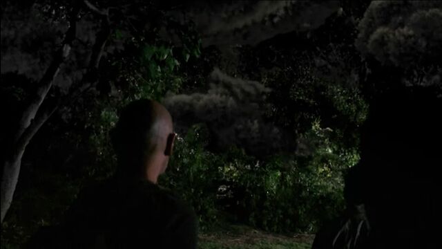 File:4x09JohnMonsterTrees.jpg