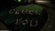800px-Cluck-you.jpg