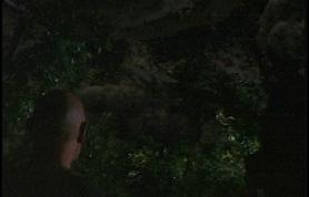 Ficheiro:4x09monstertrees.jpg