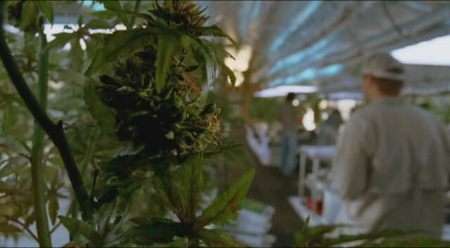 File:3x03-Farmer.jpg