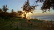 800px-3X10 HurleyLibbyGrave.jpg