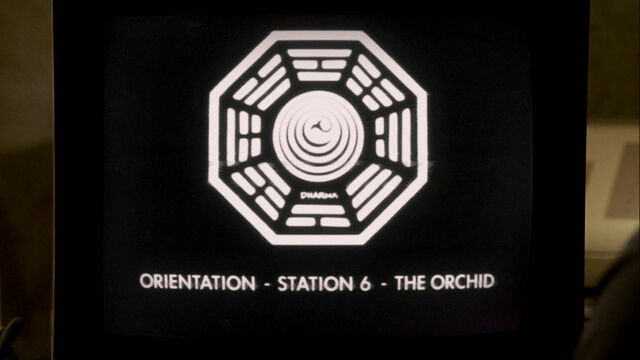 File:4x13 OrchidVideo.jpg