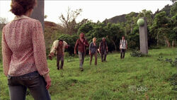 AmySonarFence-5x08.jpg