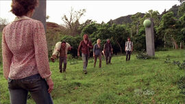 AmySonarFence-5x08.jpg