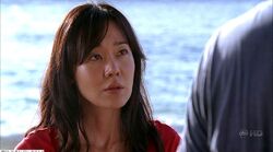 Sunjack4x04.jpg