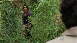 5x09-sayid-hostile-jin-dharma.jpg