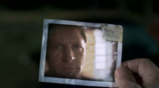 File:Polaroid.jpg