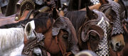Rohanpferde-cb57565.jpg
