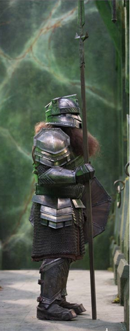 File:Erebor Soldier.png