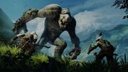 Olog-Graug