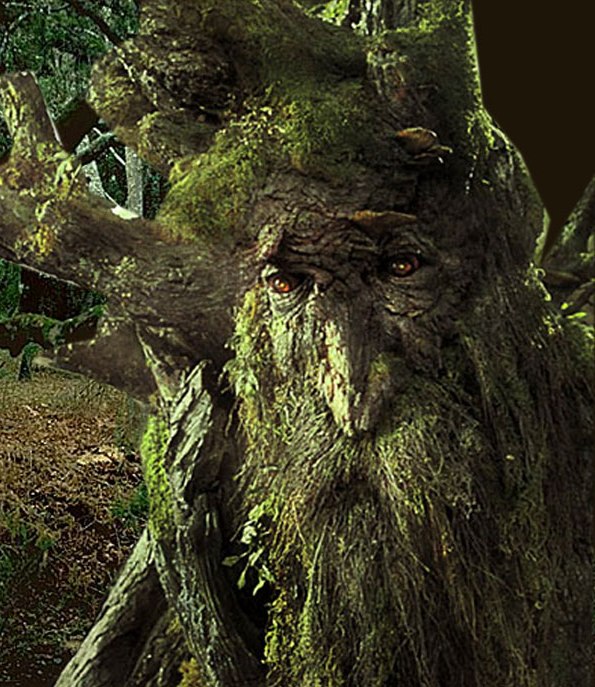 Trees Name In Lord Of The Rings Trees Name In Lord Of The Rings