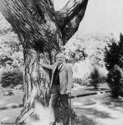 Tolkien (1973).jpg