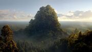 Caras Galadhon.jpg