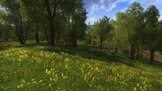TooklandLOTRO