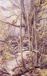 Alan Lee - The Old Forest.jpg