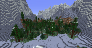 Blue Mountains Forest