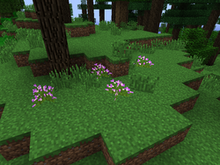 ShireHeather.png