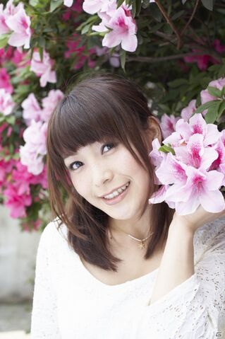 Archivo:Emitsun2.jpg