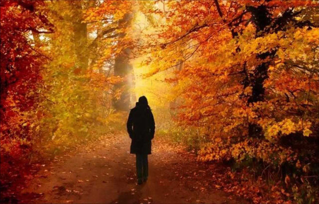 Archivo:Otoño.jpg