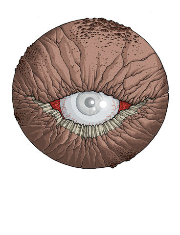 File:Ghroth.jpg