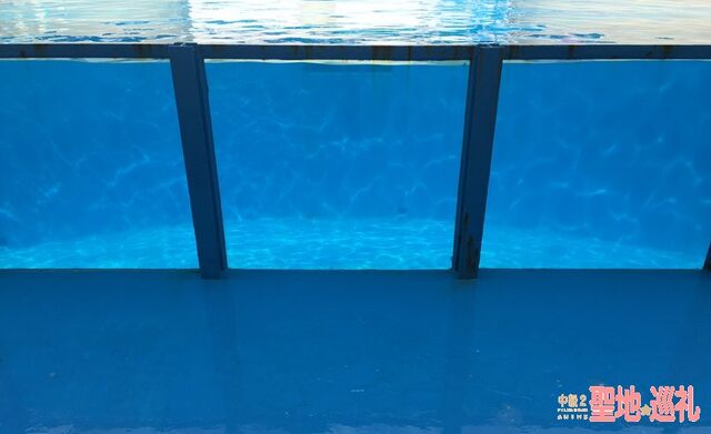 ファイル:Mitosea-18.jpg
