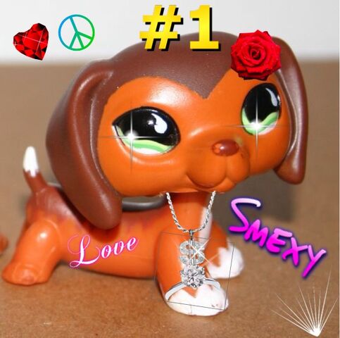 File:Lps savvy.jpg