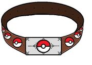 Pokemon Rp belt