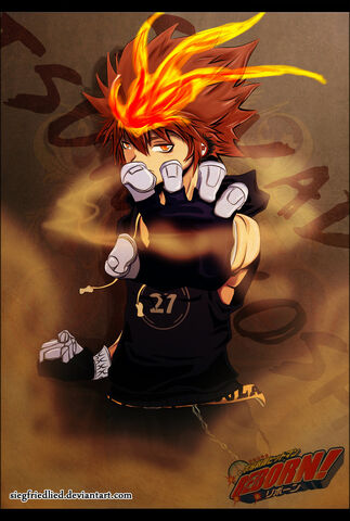File:Tsunayoshi-sawada-tsuna-tsunayoshi-24297291-733-1089.jpg