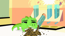Wiggles eating